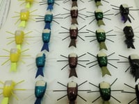 Image of Jim Richmond Excalibur Bugs