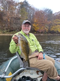 Image of Jim Richmond Excalibur Bugs