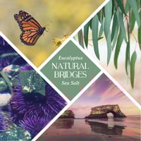 Image 2 of Natural Bridges Bar - Eucalyptus & Sea Salt Soap
