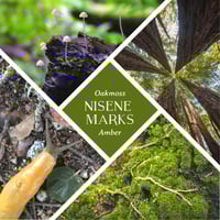 Image 2 of Nisene Marks Bar - Extra Sudsy Oakmoss & Amber Soap