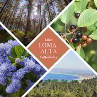 Image 2 of Loma Alta Bar - Lilac & Coffeeberry Soap