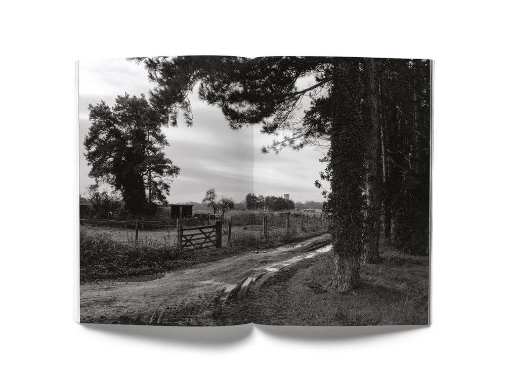 Image of Dusk Song