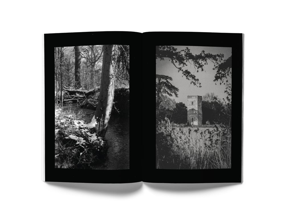Image of Dusk Song