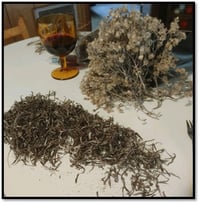 Rabbit Tobacco