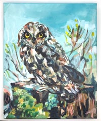 Image 1 of The Lookout – Short Eared Owl bird painting by Amanda Stumpenhorst