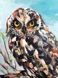 Image 4 of The Lookout – Short Eared Owl bird painting by Amanda Stumpenhorst