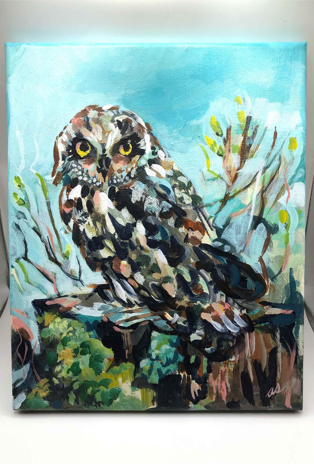 The Lookout – Short Eared Owl bird painting by Amanda Stumpenhorst