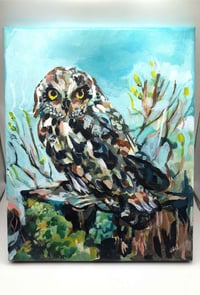 Image 5 of The Lookout – Short Eared Owl bird painting by Amanda Stumpenhorst