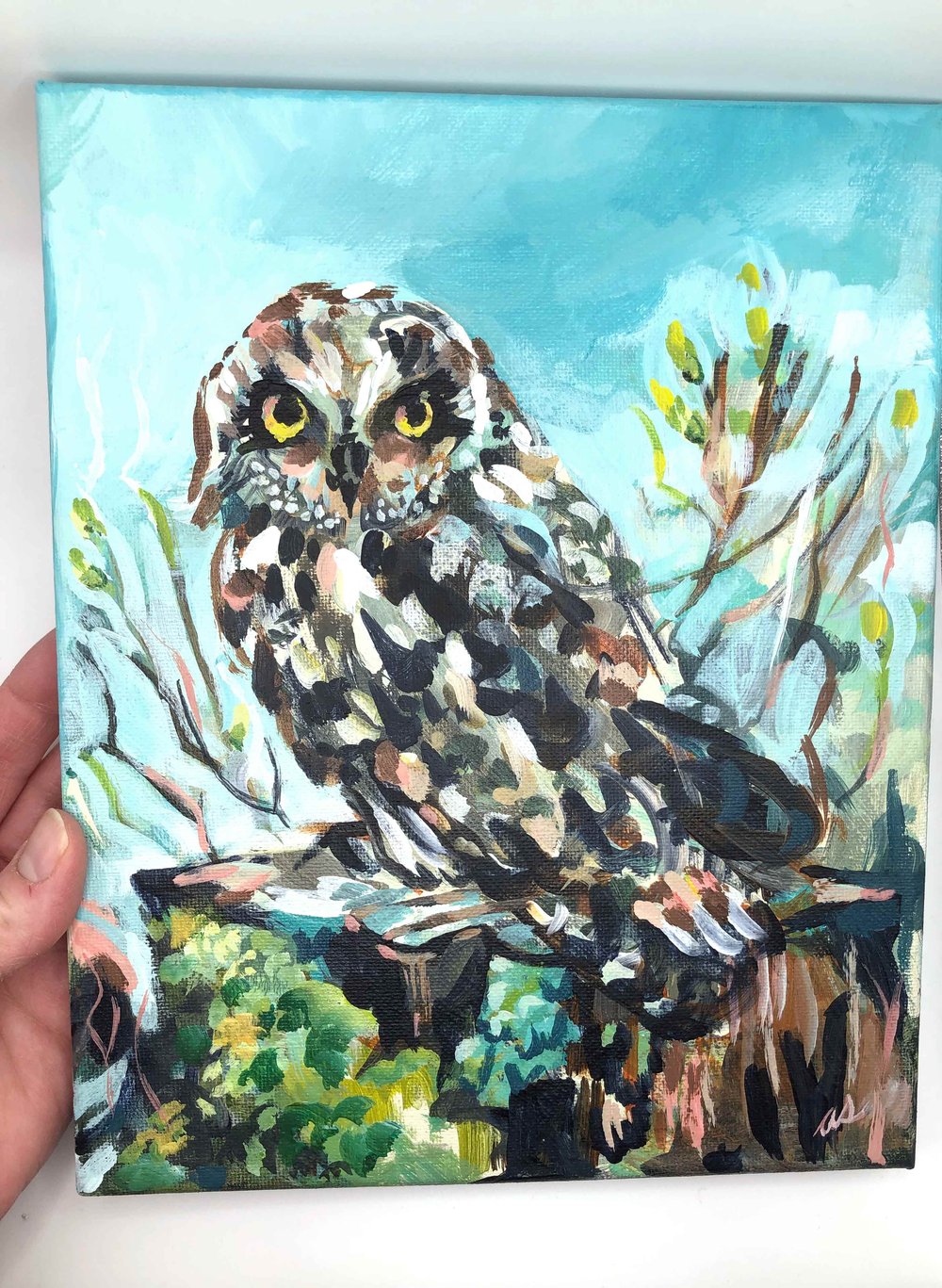 The Lookout – Short Eared Owl bird painting by Amanda Stumpenhorst