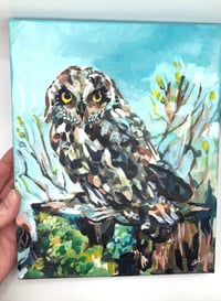 Image 4 of The Lookout – Short Eared Owl bird painting by Amanda Stumpenhorst