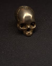 Image 3 of Villian skulls 