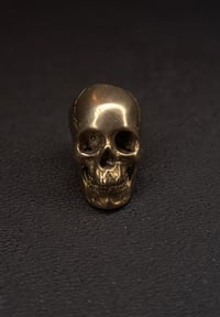 Image 4 of Villian skulls 