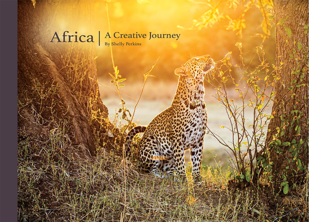 Image of Africa | A Creative Journey  - Book 