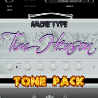 Archetype: Tim Henson Preset Pack