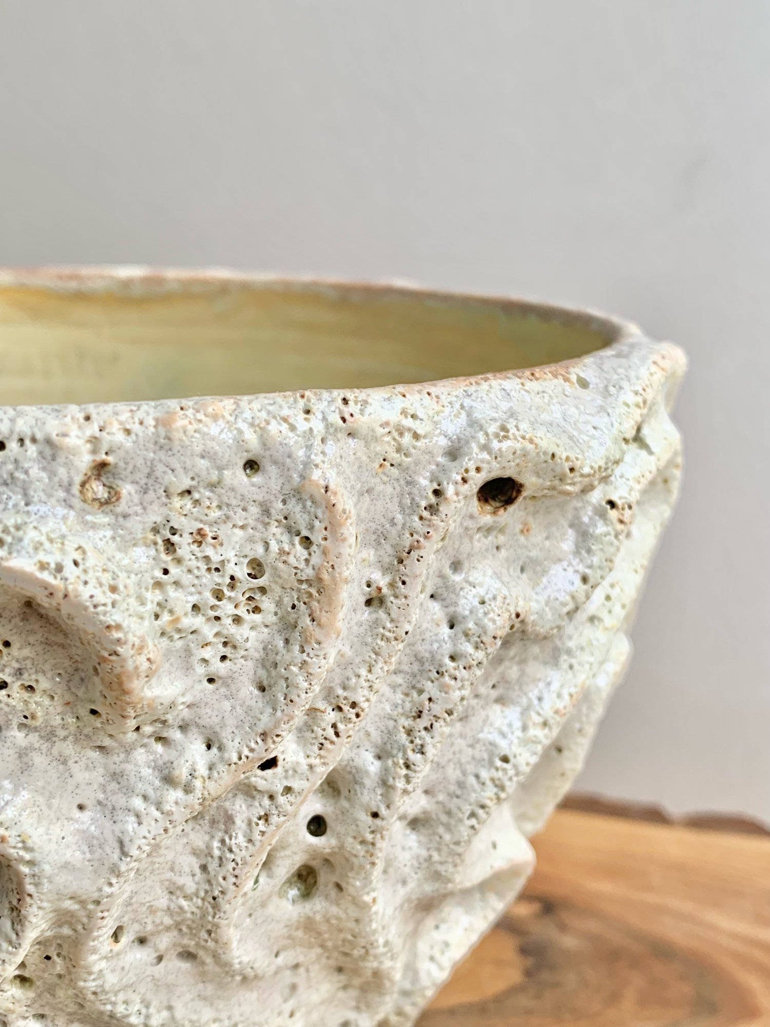 Image of  Coral Sculpture 