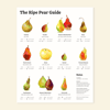 The Ripe Pear Guide