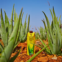 Image 2 of Forever Aloe Vera Gel 