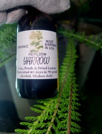 Image 1 of Yarrow Tincture