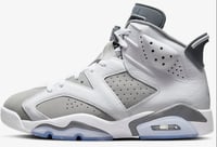 AJ 6 “ Cool Grey”