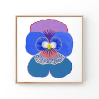 Image 2 of Pansy (Cool)