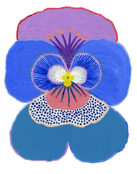 Image 1 of Pansy (Cool)