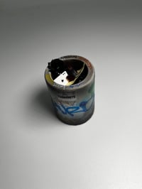 Image 4 of The Can