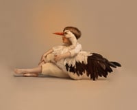 The boy and the stork 