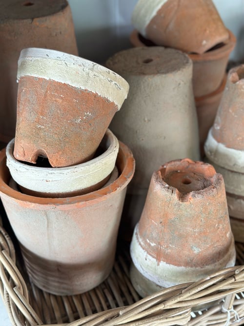 Image of Terracotta Mossy Pot Small 
