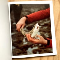 Image 4 of Jamie Murray - Folly