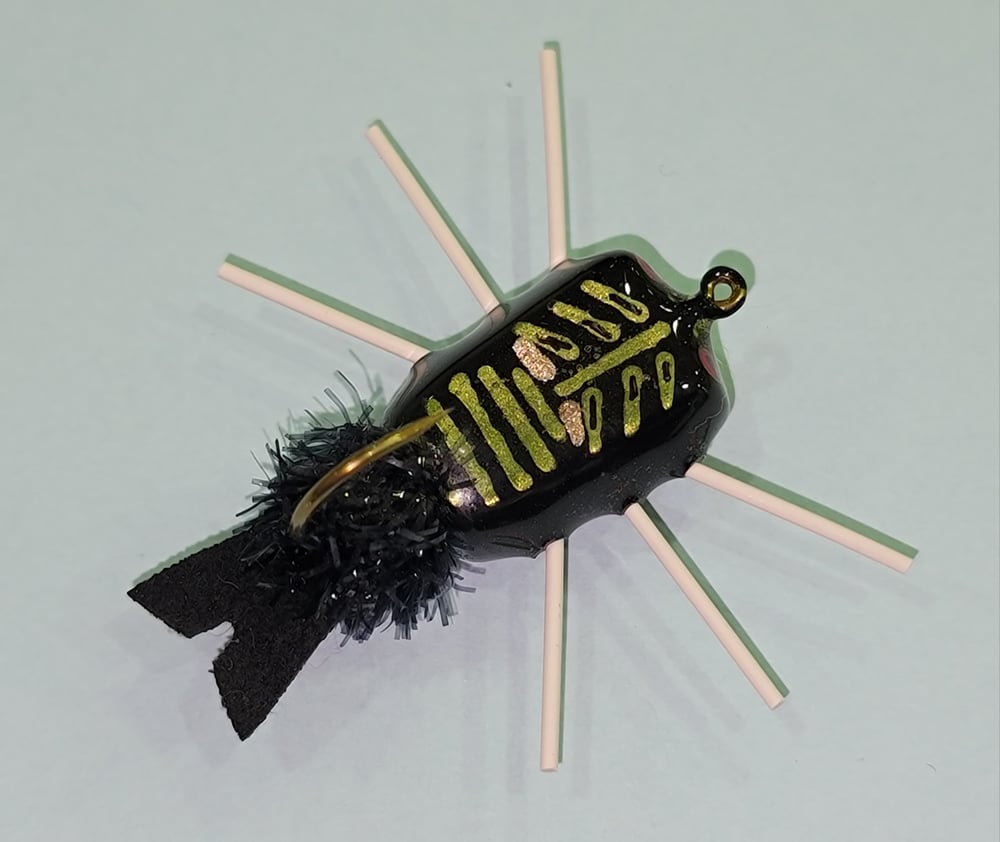 Image of Fully Prepared Cork Bug Kit
