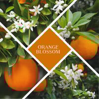 Image 2 of RECYCLED GLASS - ORANGE BLOSSOM SOY WAX CANDLE