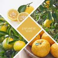 Image 2 of Recycled Glass - Yuzu Soy Wax Candle