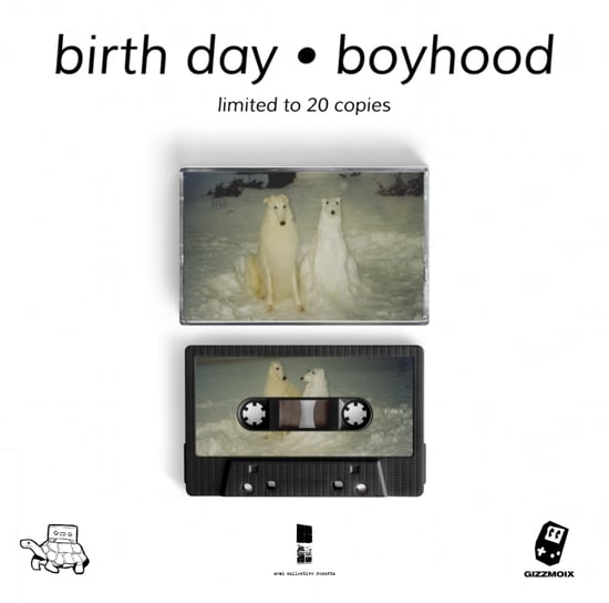 Birth Day Boyhood Semi Collective Records 7537