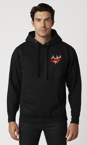 Image of (h) THE DEBUT DMF Hoodie