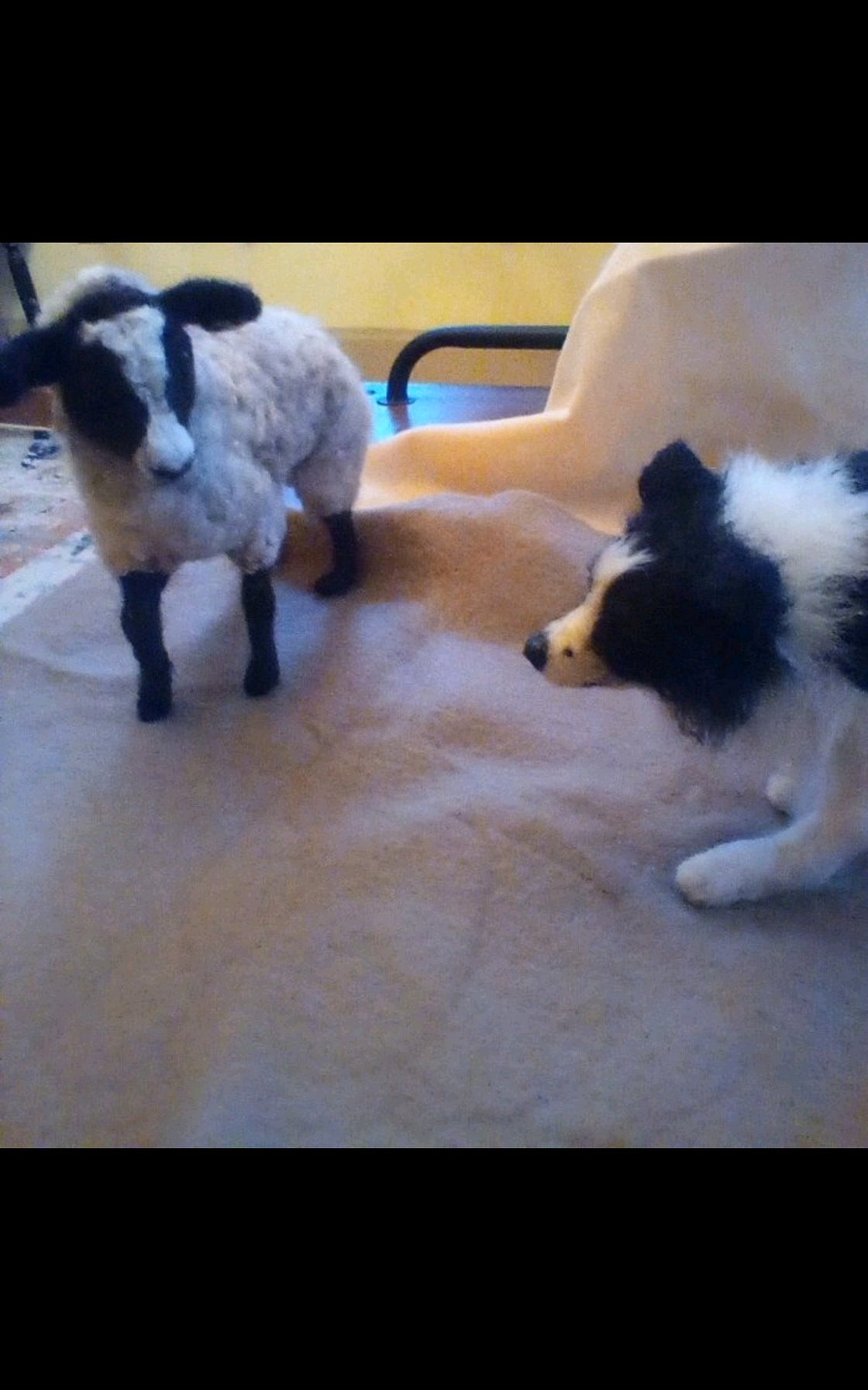 Image of Border Collie with sheep