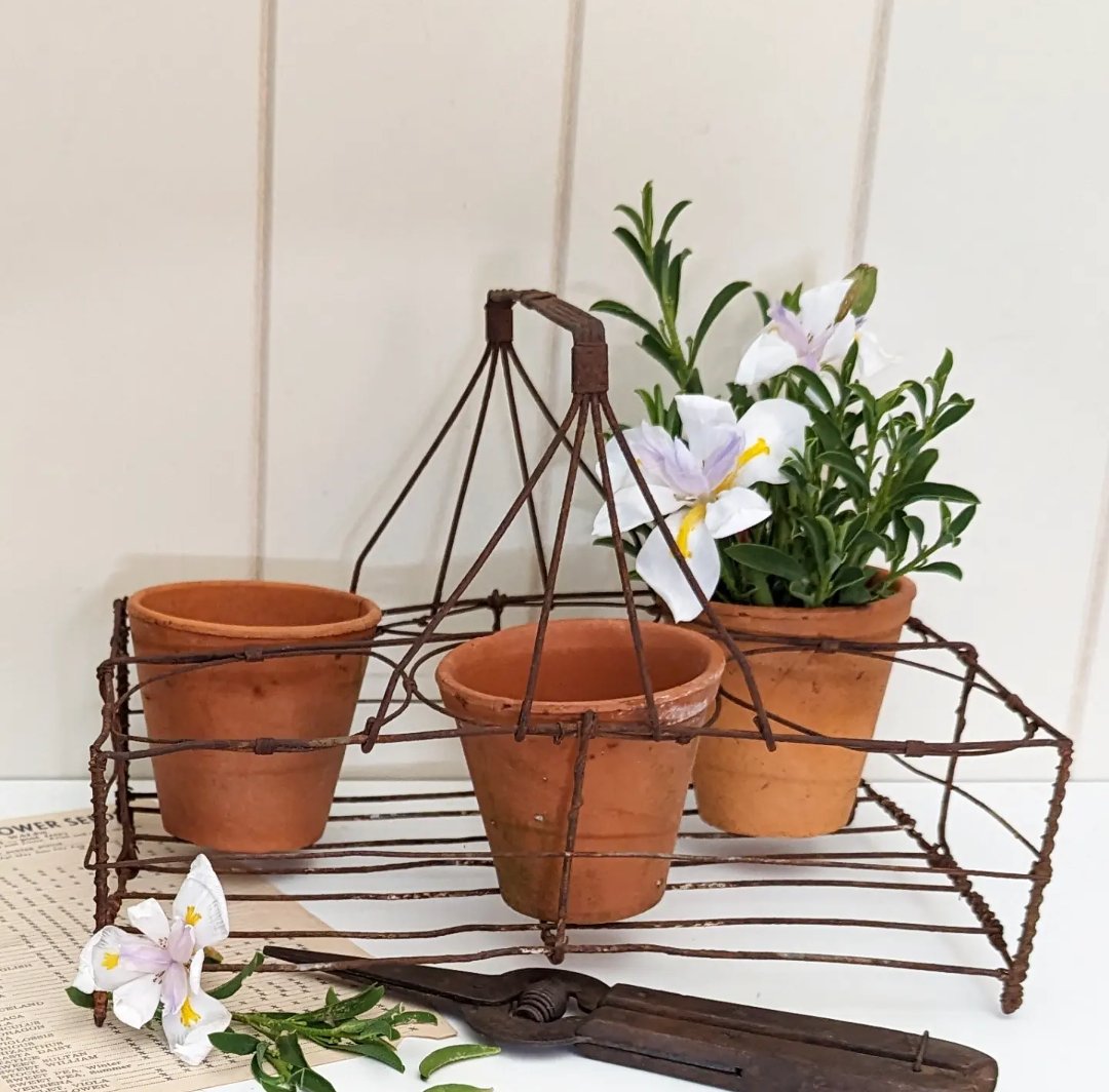 Image of Rustic French wire holder