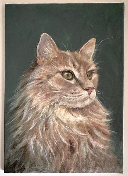 Image of Cat Study - Original Painting on Canvas