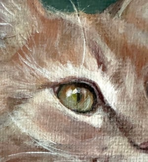 Image of Cat Study - Original Painting on Canvas