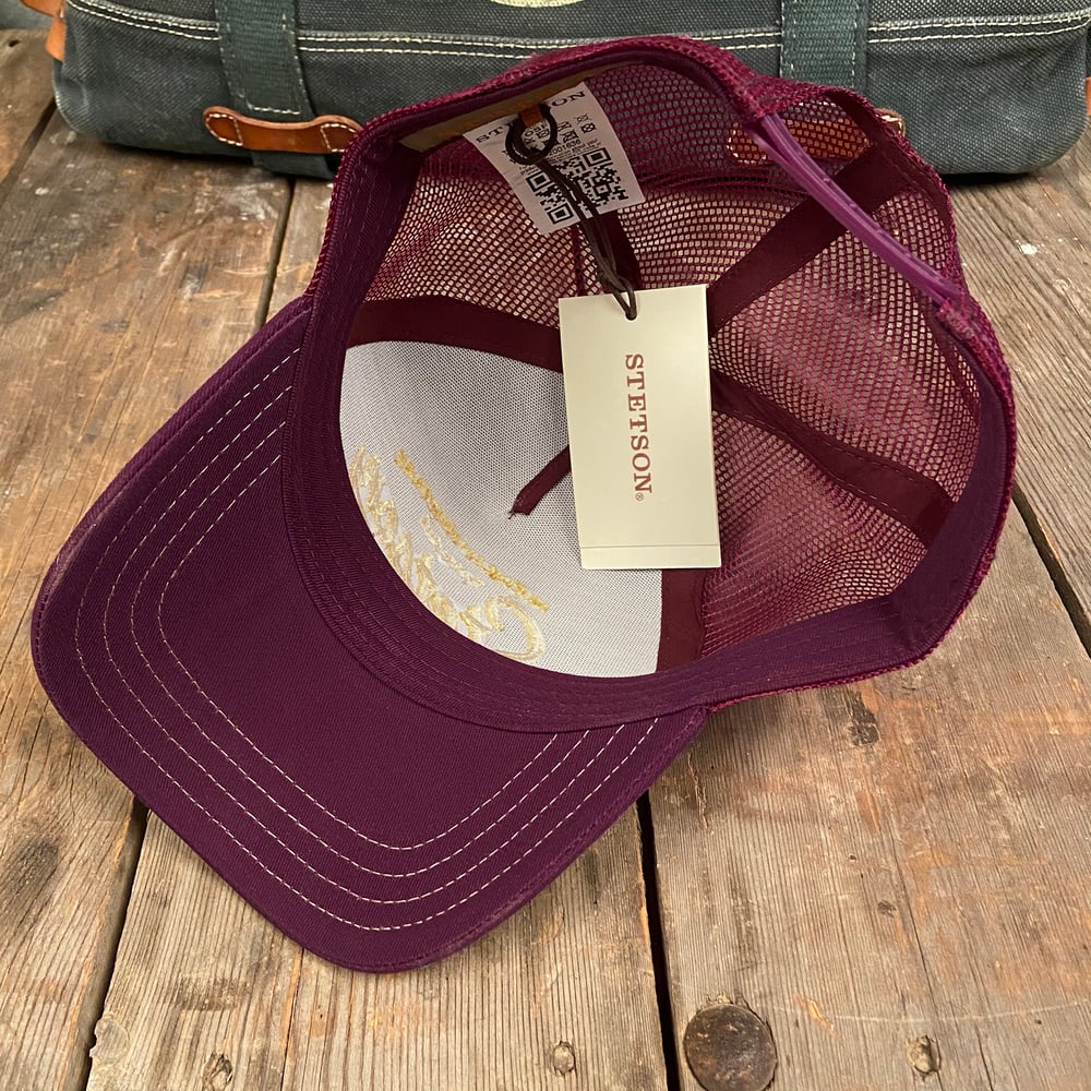 Image of STETSON MESH CAP "BLITZ" PURPLE