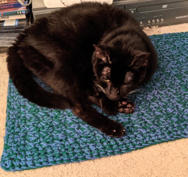 Image of Custom Crochet Cat Blanket