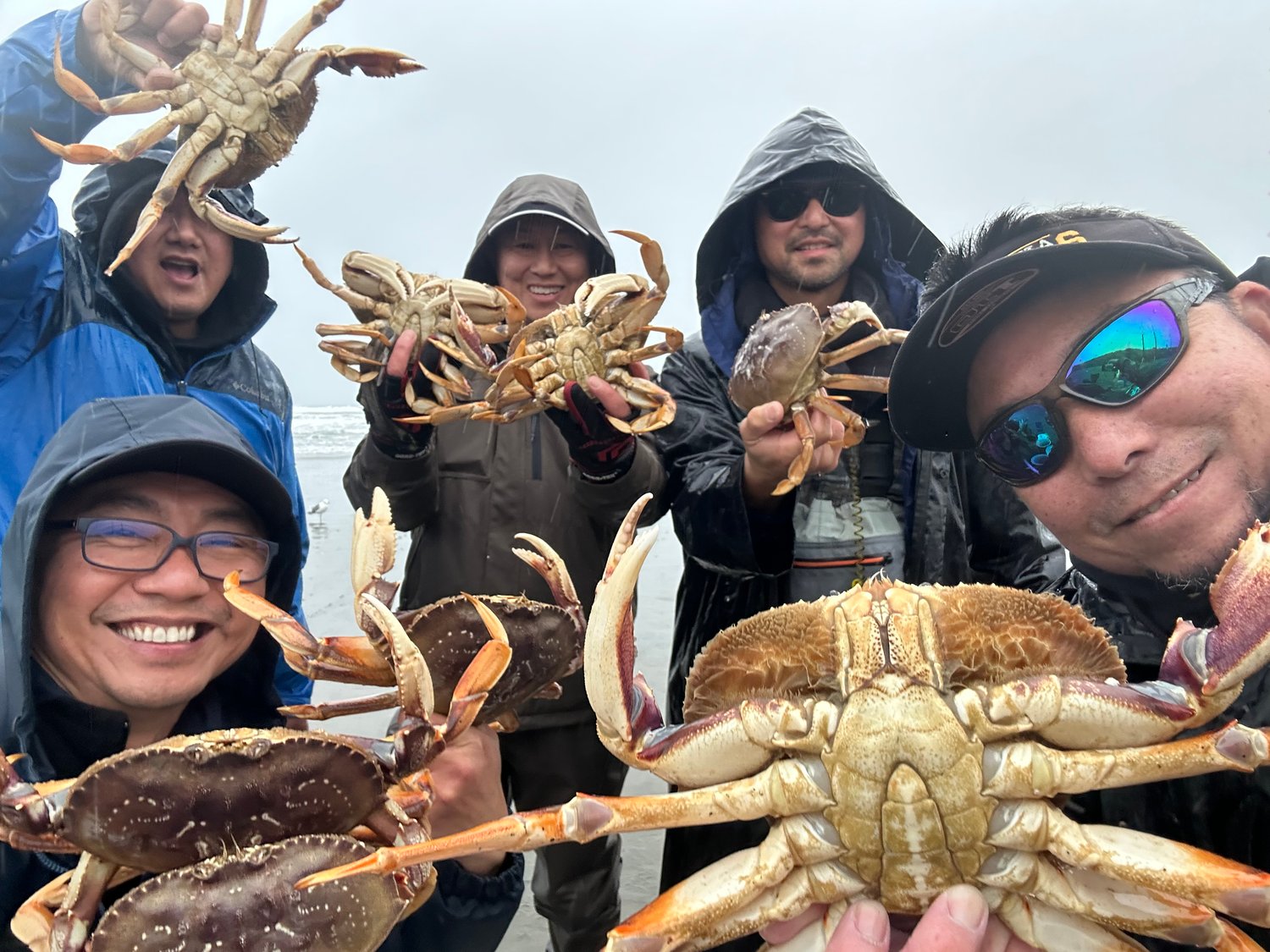 Image of Versatile Torpedo Crab Snare