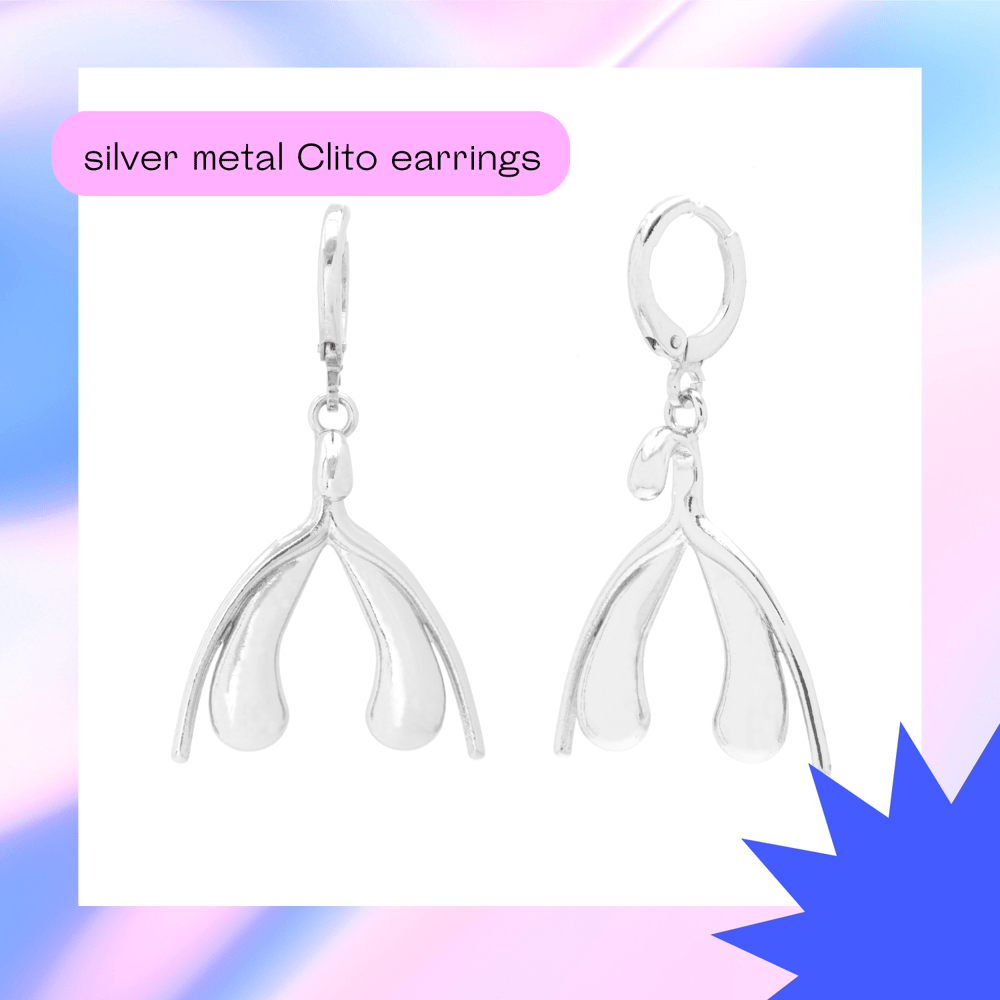 Image of Earrings - Shiny Metal