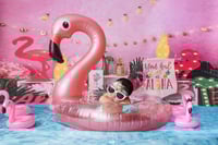 Image 1 of Newborn Package with Free Sitter Session