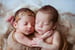 Image of Twins Newborn Session Fee $300.00