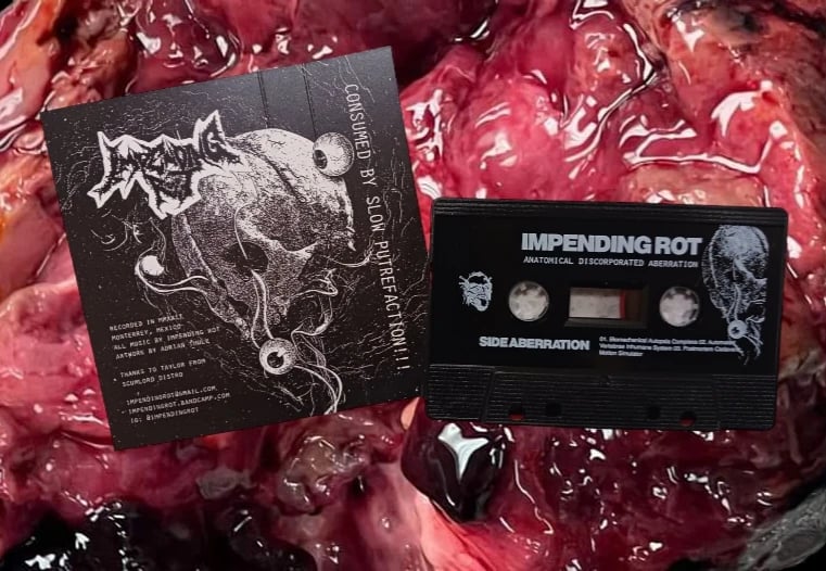 Image of Impending Rot - Anatomical Discorporated Aberration 