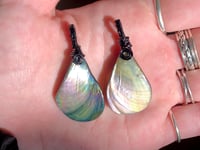 Image 3 of Abalone Shells