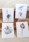 Four Seasons Note Cards