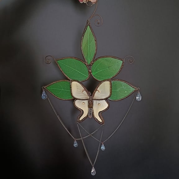 Stained glass wall hangings Tarantulabox