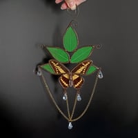 Image 1 of The King swallowtail stained glass wall hanging / suncatcher