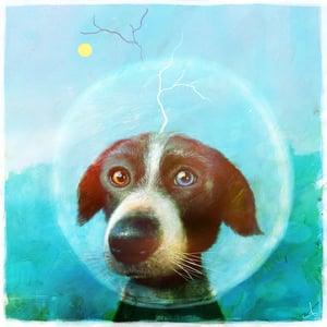 Rover - Alexander Jansson Shop